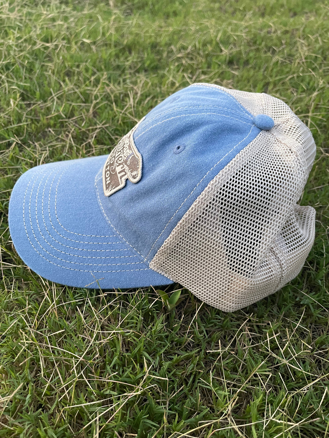 Southern Pointer Hat