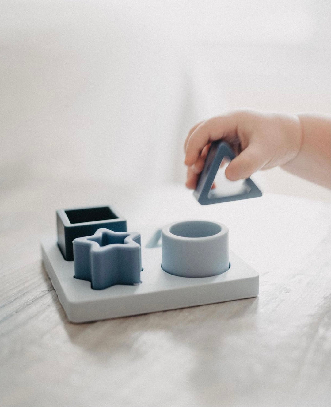 Silicone Shape Match Puzzle