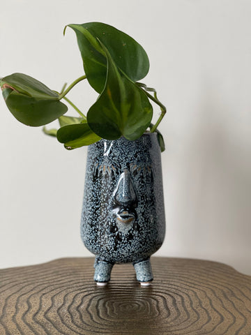 Blue Face Planter