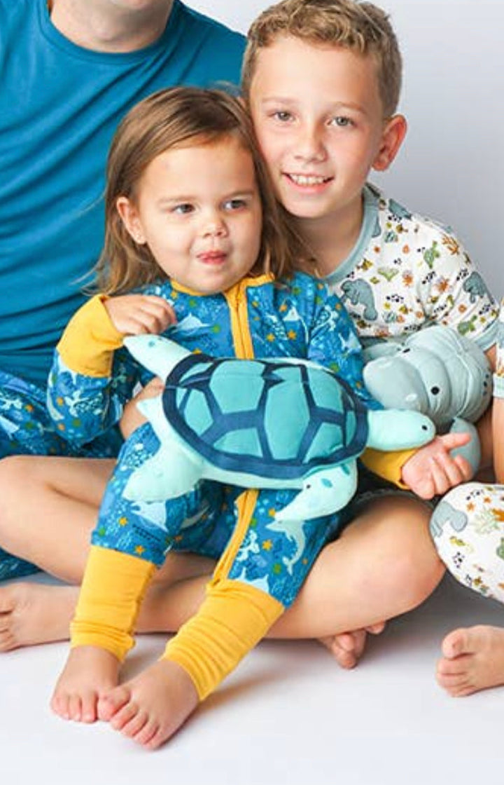 Grad Turtle Stuffy Turtle Stuffy β Whitlyns