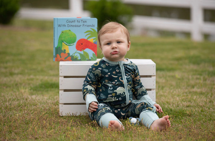 Dinosaur Count to 10 Book