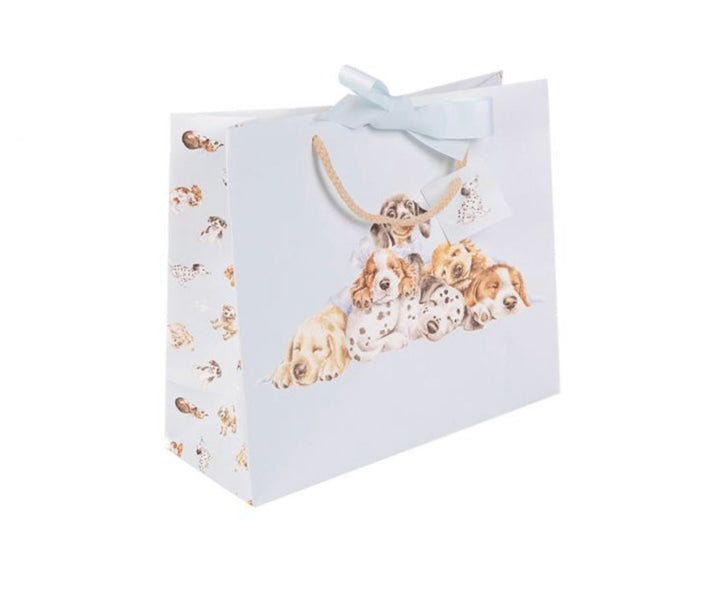 Little Paws Gift Bag