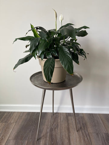 Hammered Metal End Table