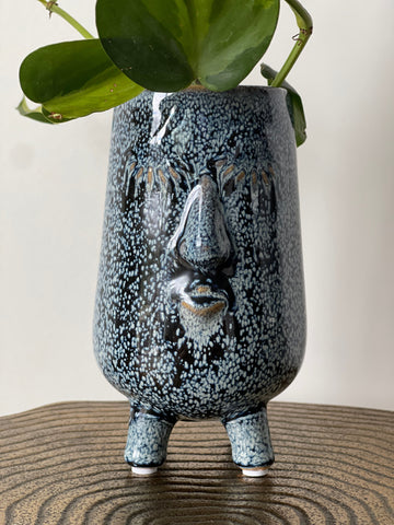 Blue Face Planter