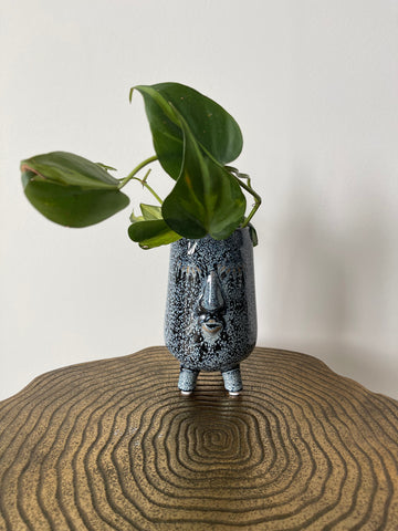 Blue Face Planter